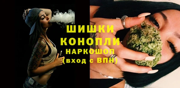 дживик Богородск