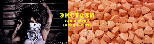 дживик Богородск