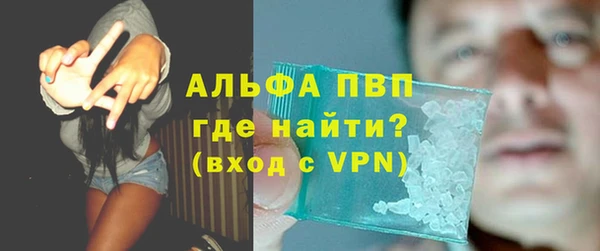 таблы Бородино