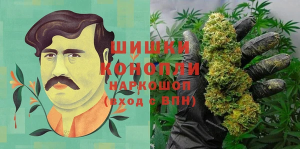 дживик Богородск