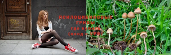 таблы Бородино