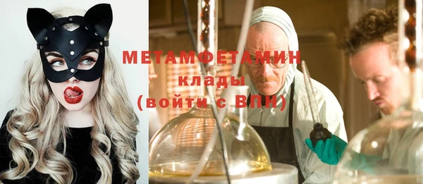 прущие грибы Фурманов
