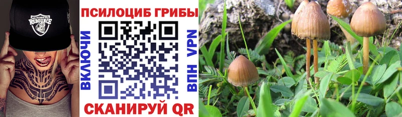 Псилоцибиновые грибы MAGIC MUSHROOMS  ссылка на мегу маркетплейс  Коркино 